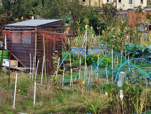 Photo: Pádraig Floyd