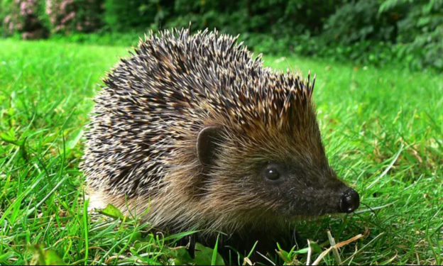 Screenshot 2019-04-11 at 16.29.31